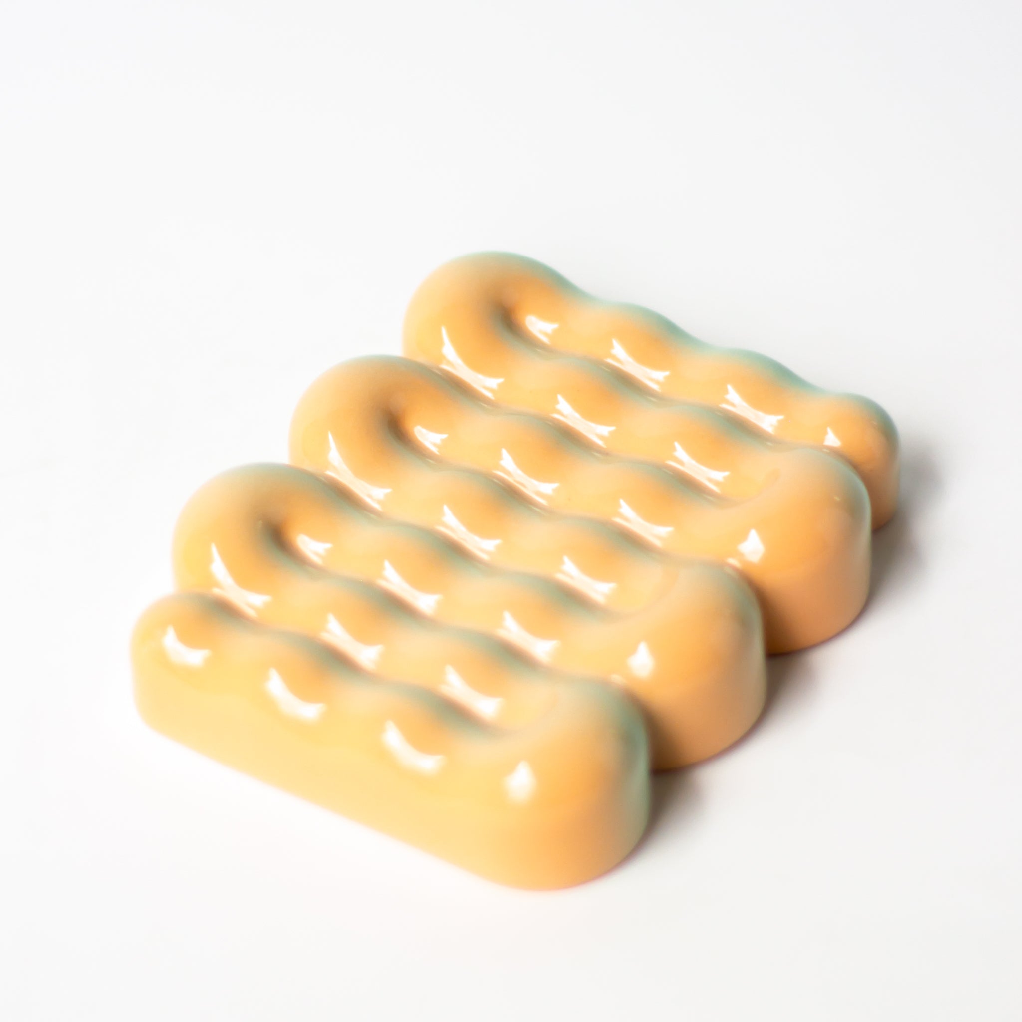 Soap Dish in Sea Shell