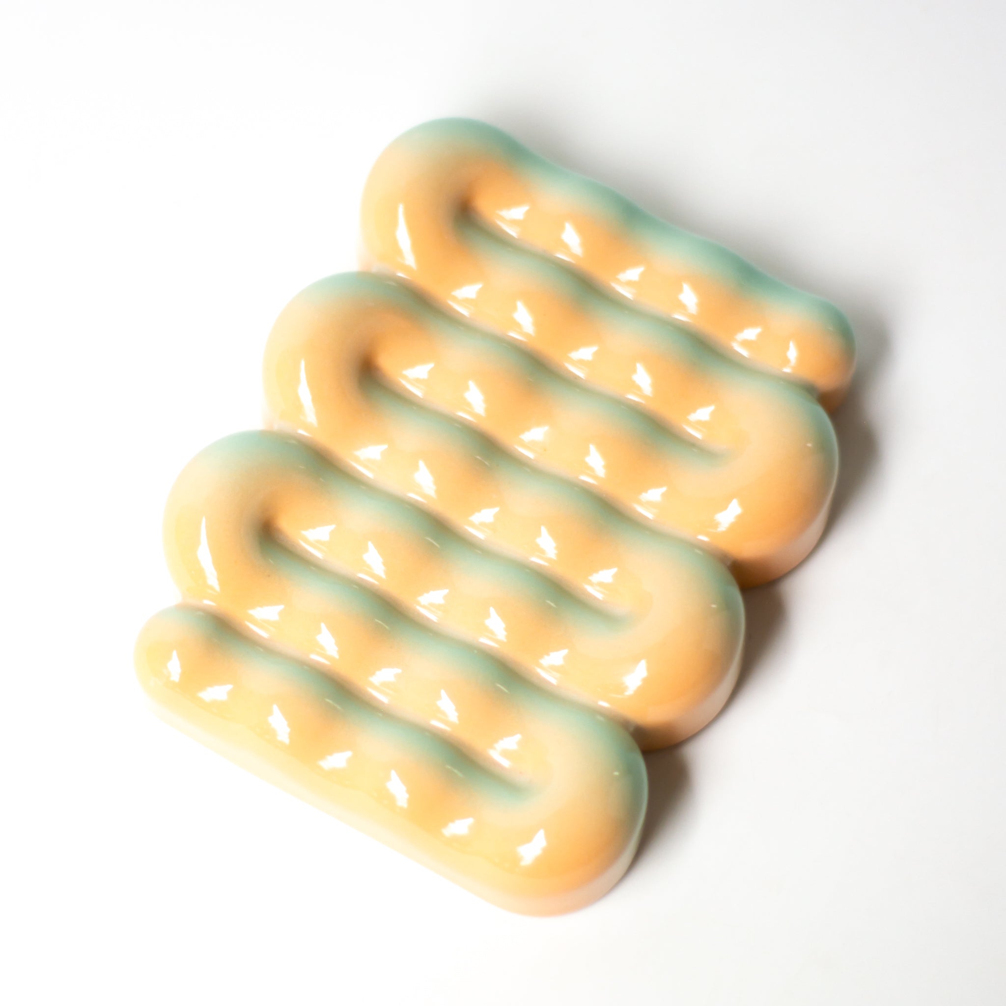 Soap Dish in Sea Shell