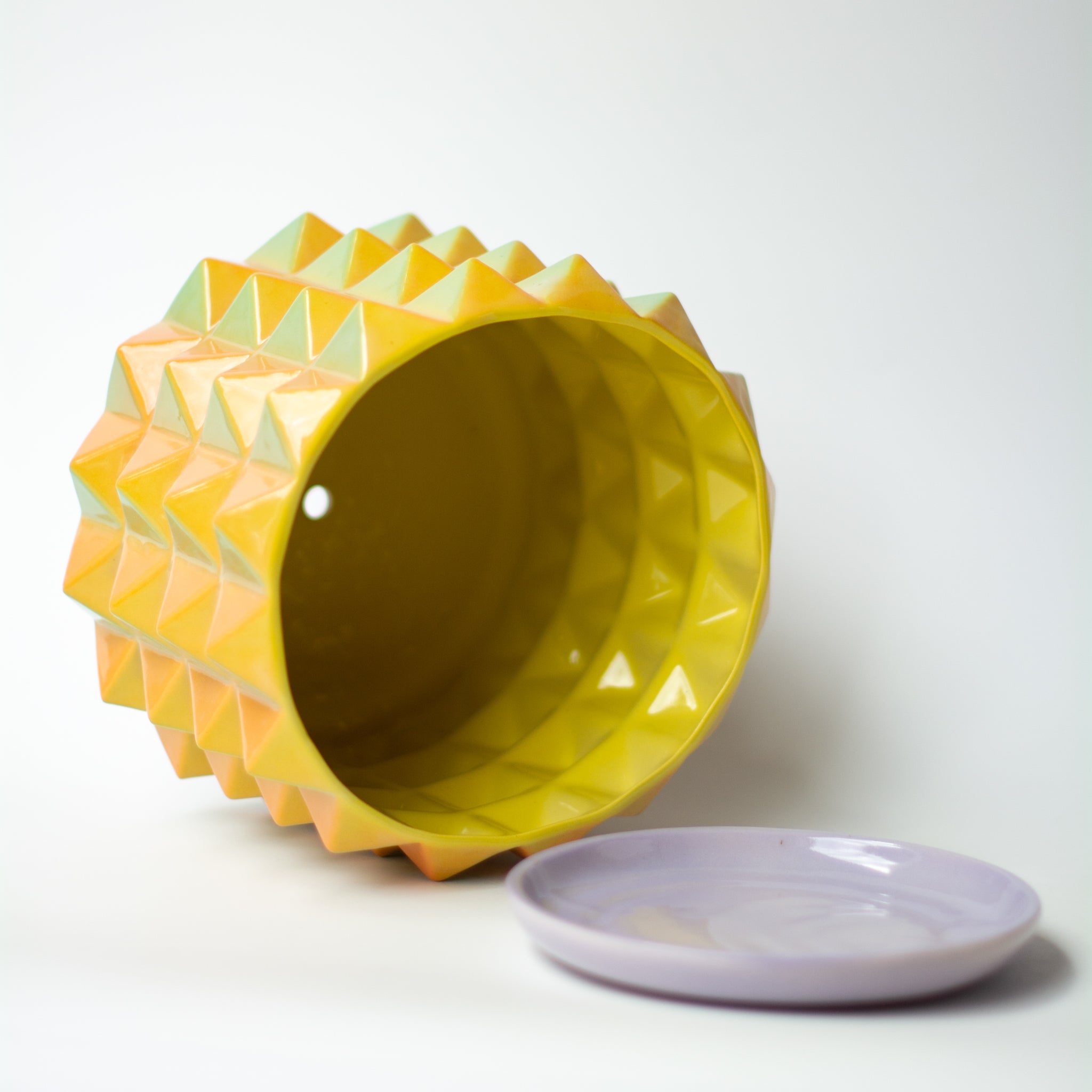 XL Prism Planter in Iridescent Rainbow