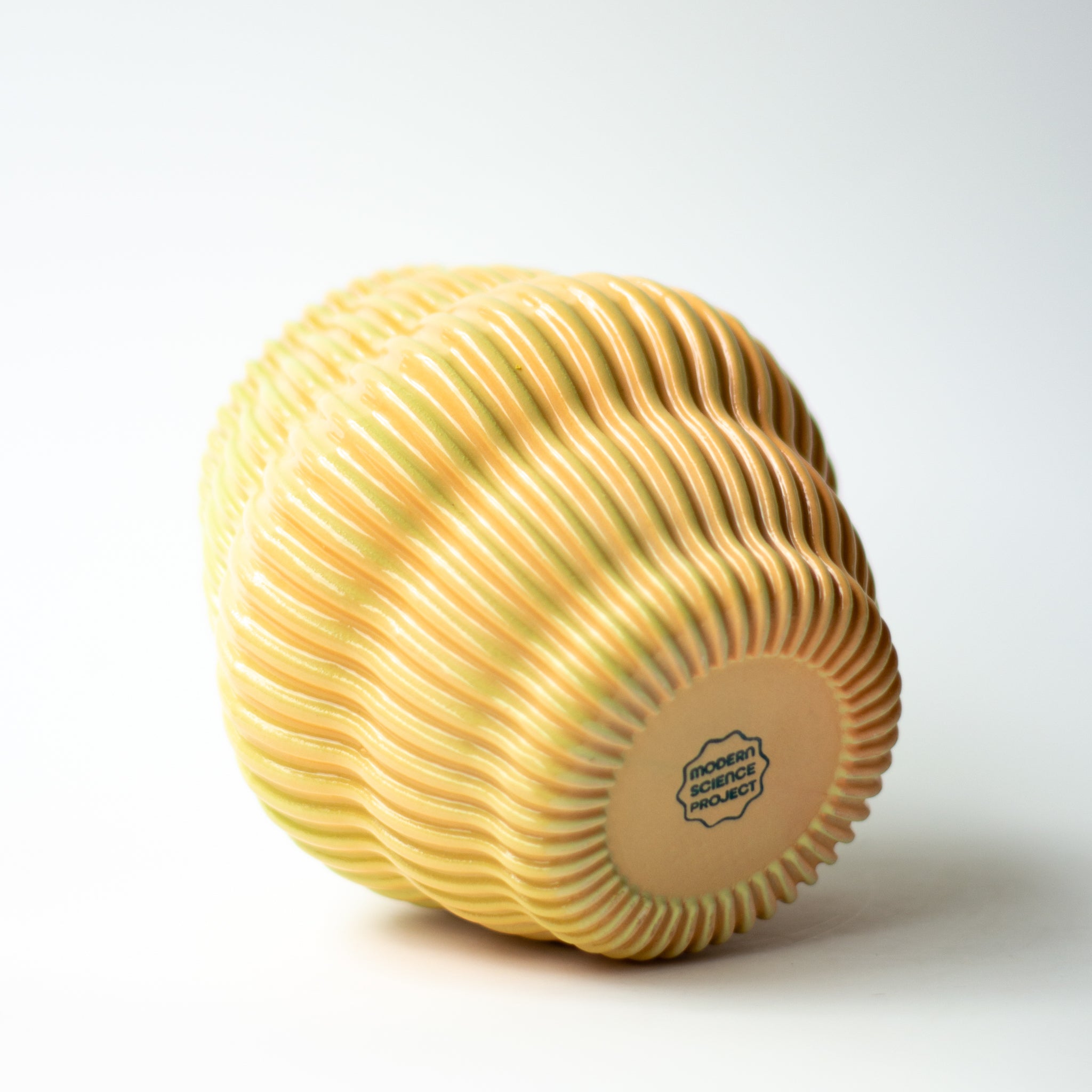 Bulb Vase in Melon